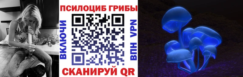 Псилоцибиновые грибы GOLDEN TEACHER  где купить наркотик  Лысьва 